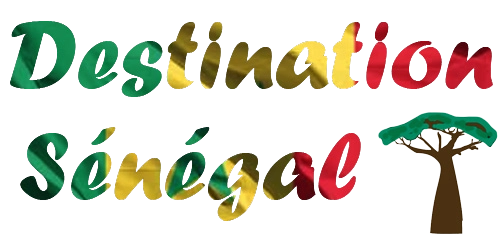 logo destination Sénégal - alfa Logo Destination Sénégal